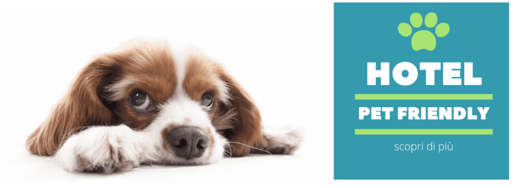 vivovenetia hotel pet friendly