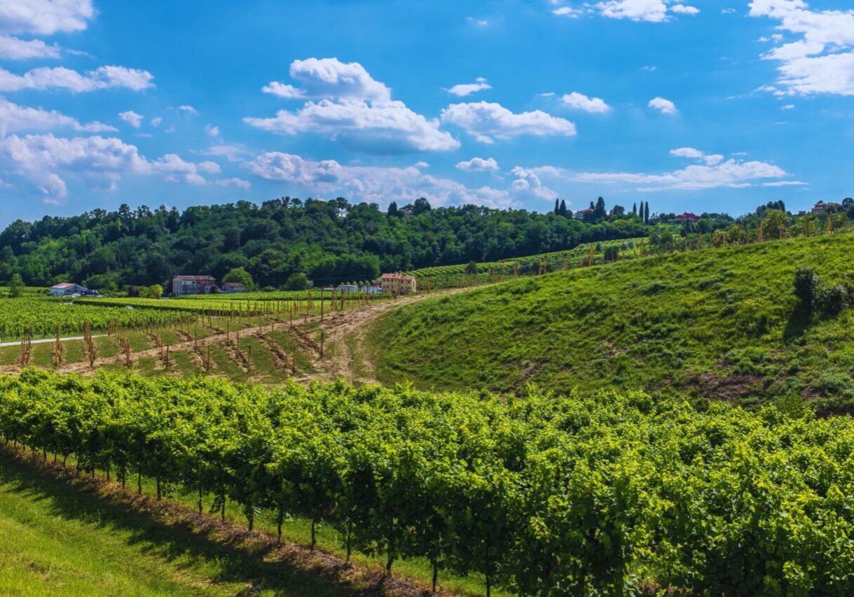Conegliano strada del prosecco