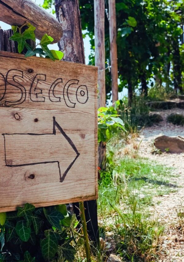 Degustazione di prosecco a Valdobbiadene