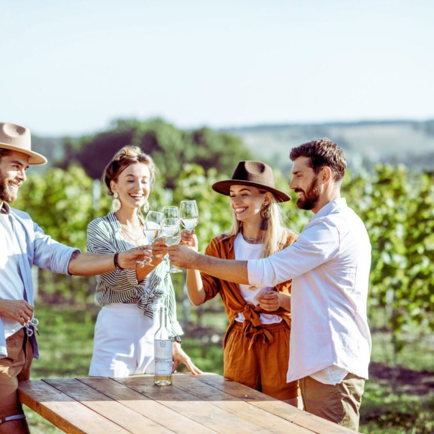 Degustazione di prosecco in vigna