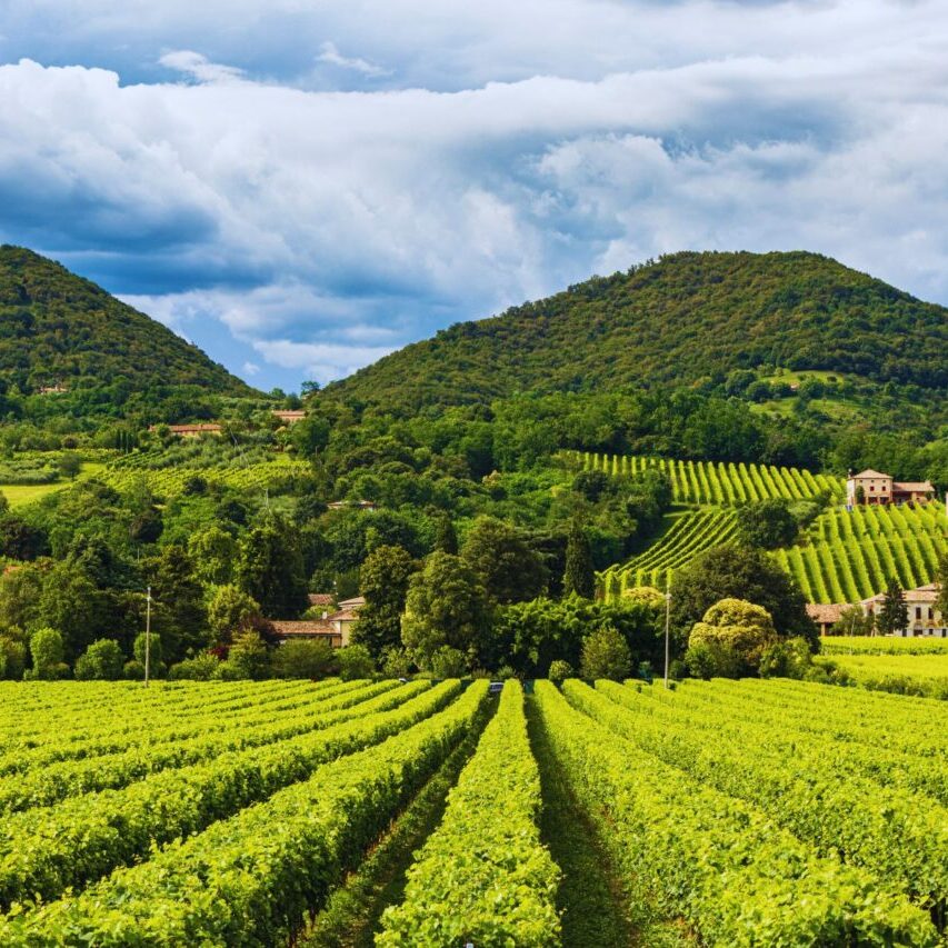 Maser e i colli asolani