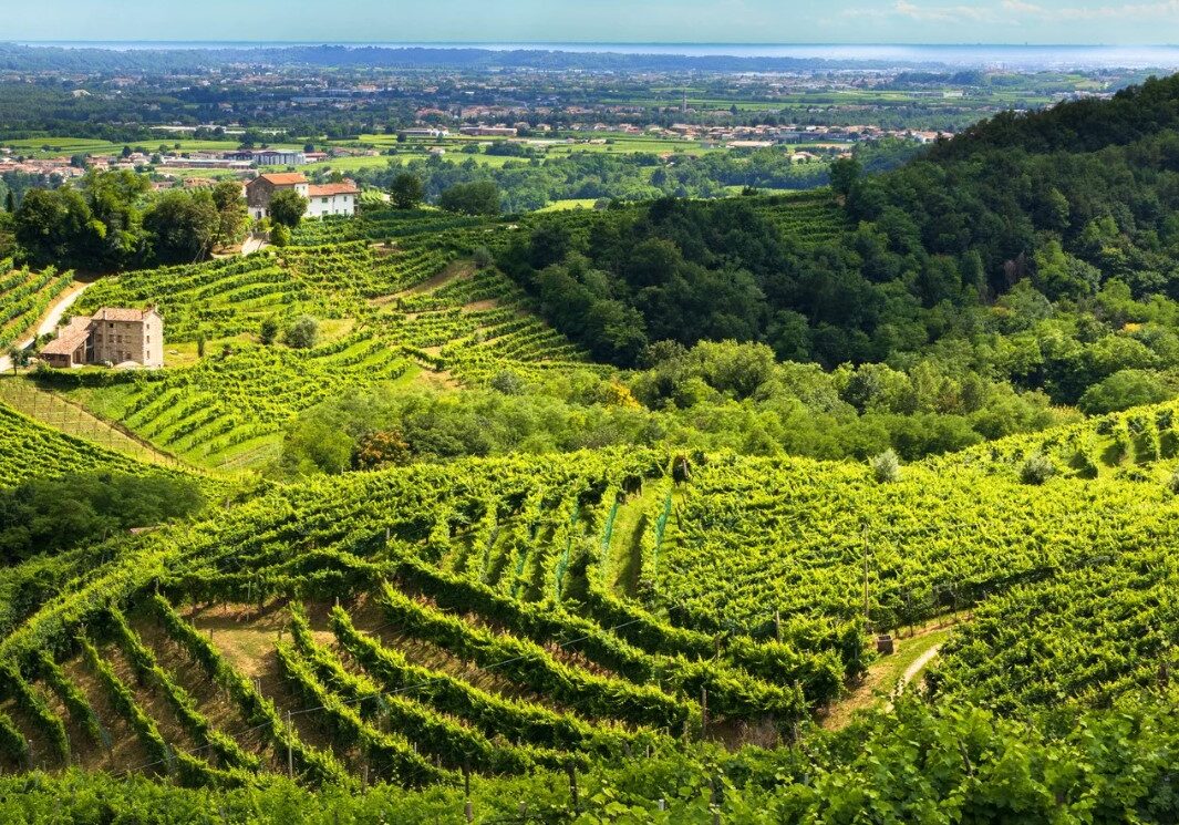 Prosecco Hills day trip from Venice