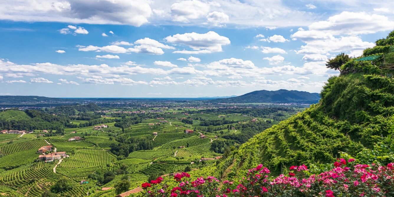 Prosecco Hills panoramic view
