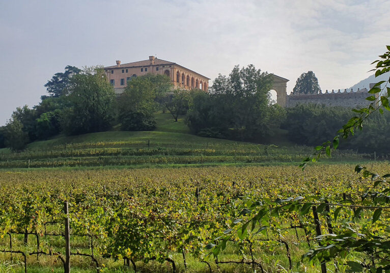 Villa-dei-Vescovi-Colli-Euganei