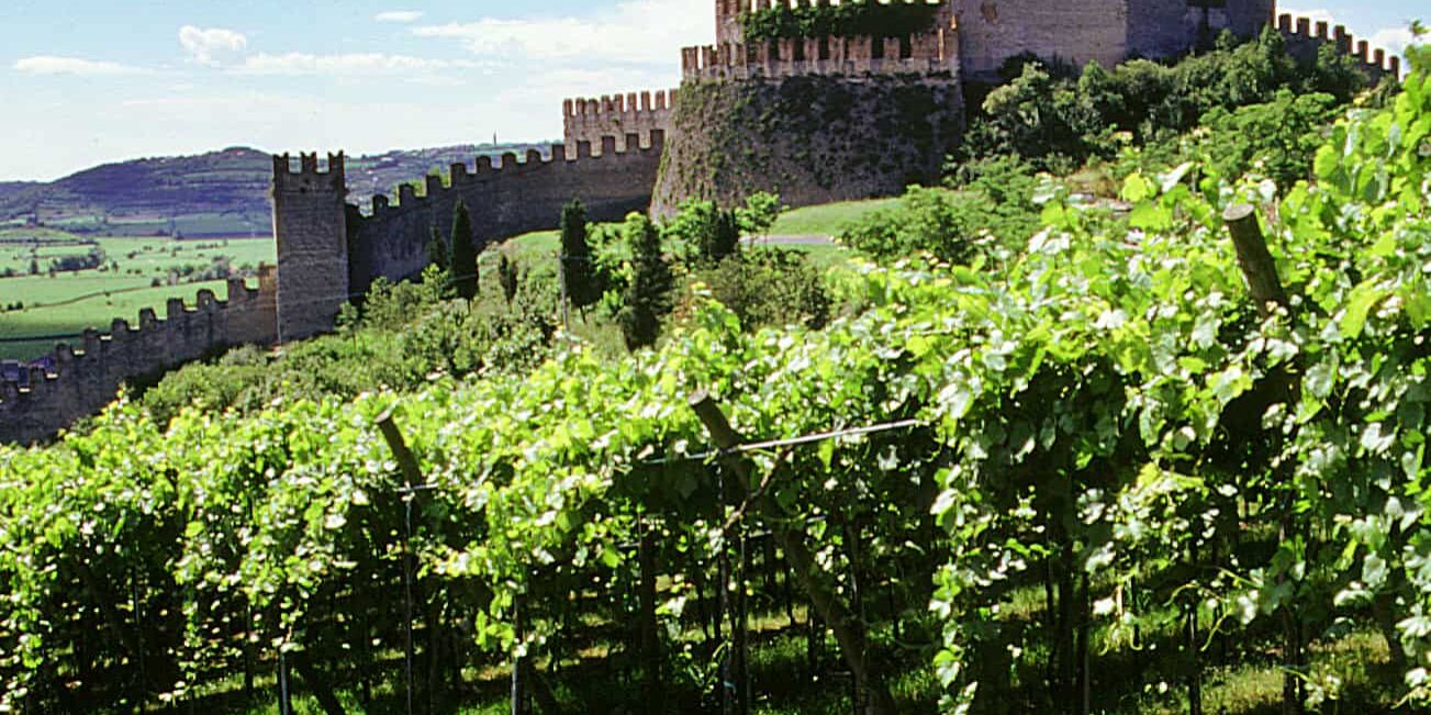 Castello di Soave in provincia di Verona tra le colline e vigneti
