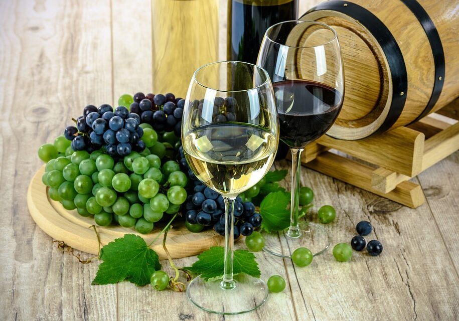 Wine tasting tour in Venice
