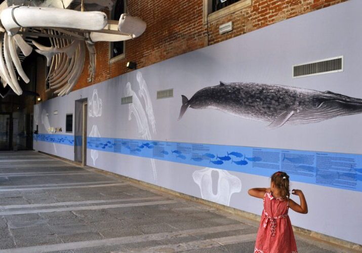 museum children venice vivovenetia