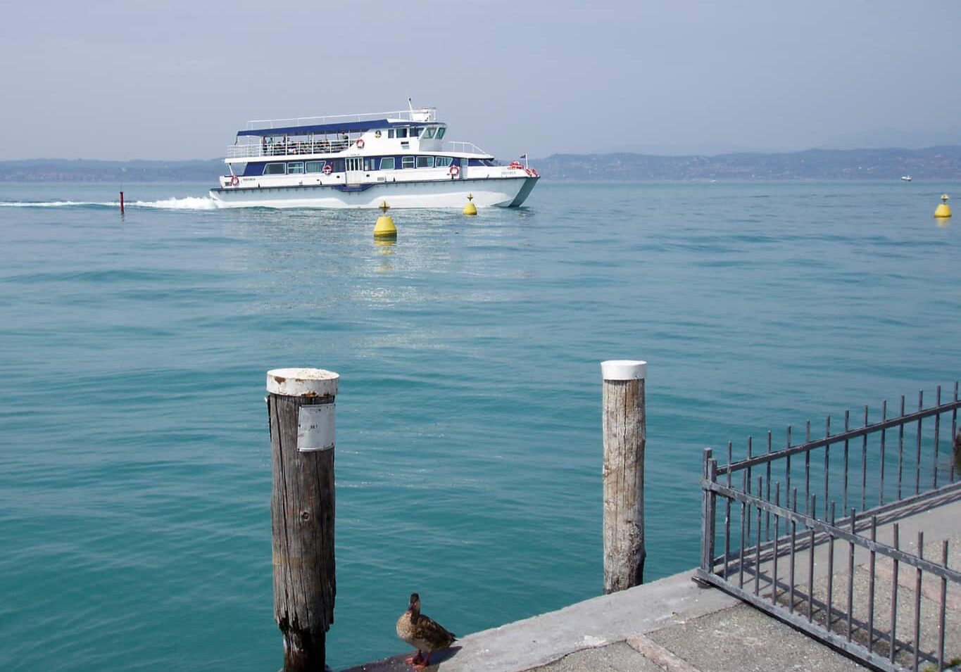 Vedere lago di Garda in tour