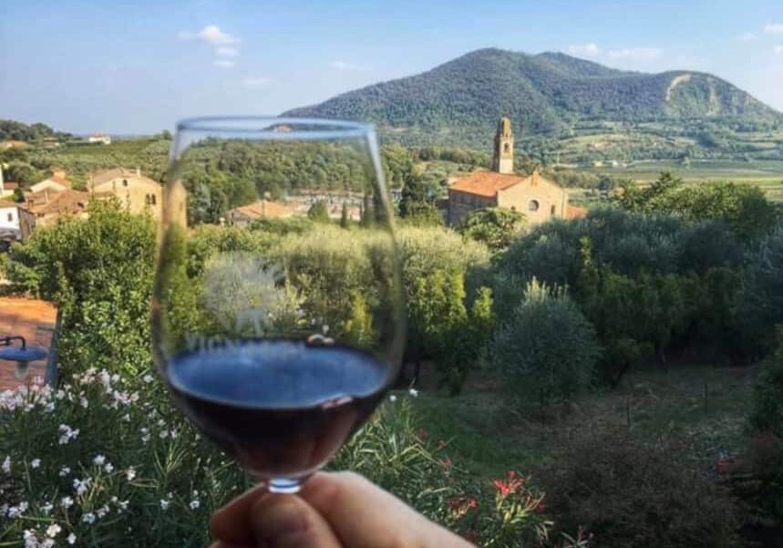 vino-colli-euganei